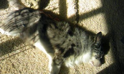 110128_1051~01.jpg
