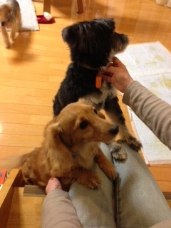 2013.3.17.2.jpeg