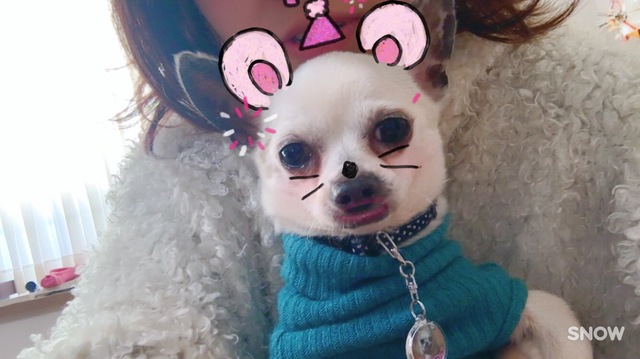 写真 2017-01-02 13 57 40.jpg