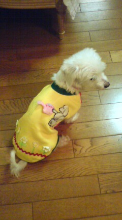 20100405045355.jpg