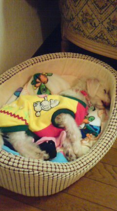20100405194604.jpg