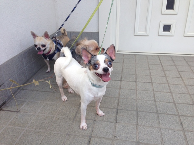 2014.10.13.1.JPG