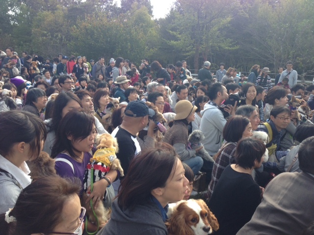 2014.11.12.8.JPG