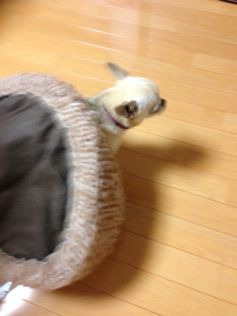 2016-01-18 09.21.54.jpg