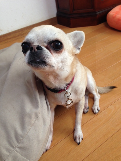 2016-01-21 09.41.15.jpg