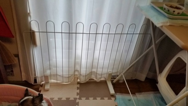 2016-06-06 13.09.25.jpg