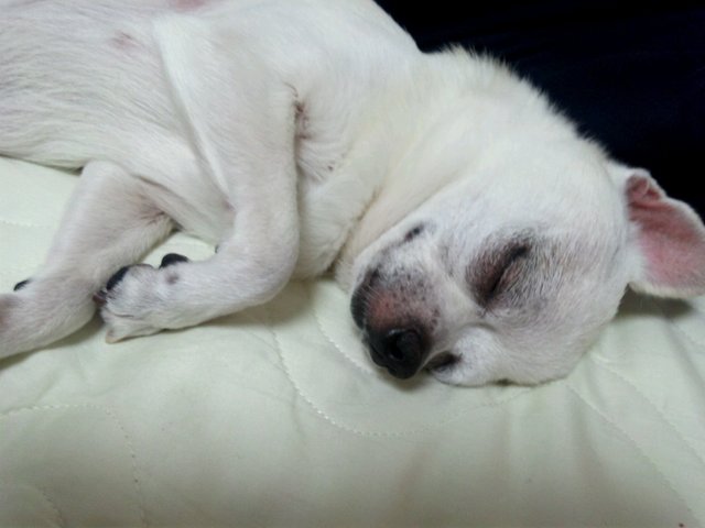 DSC_0207.jpg