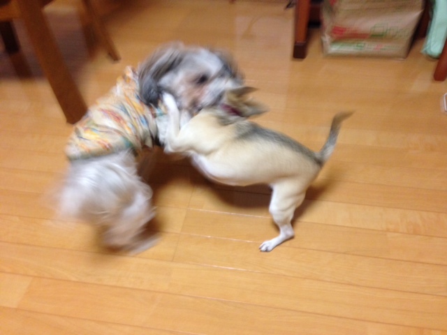 image.jpeg